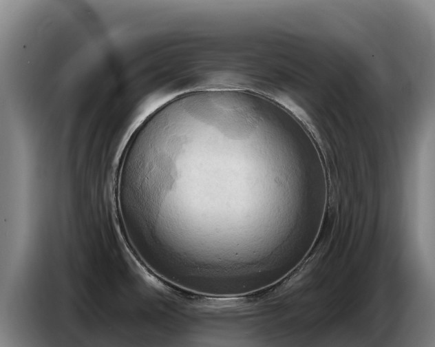 X0000086751486200704201715
