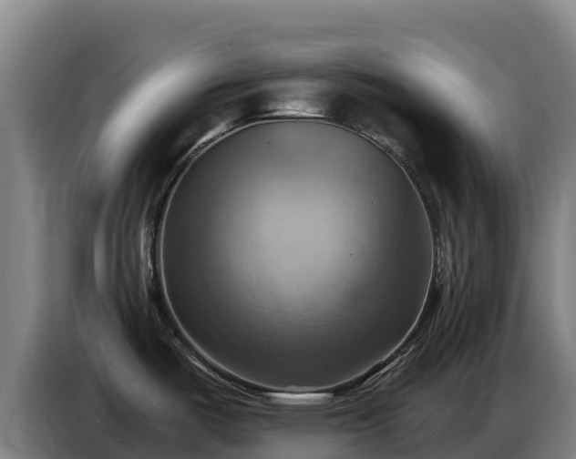 X0000086751487200704201715