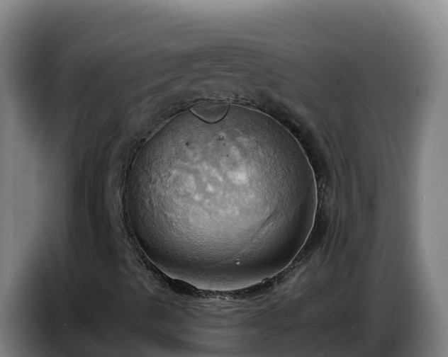 X0000086751489200704201715