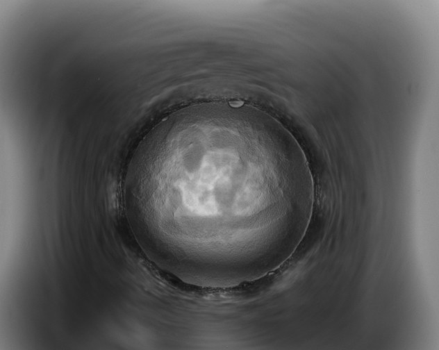 X0000086751490200704201715