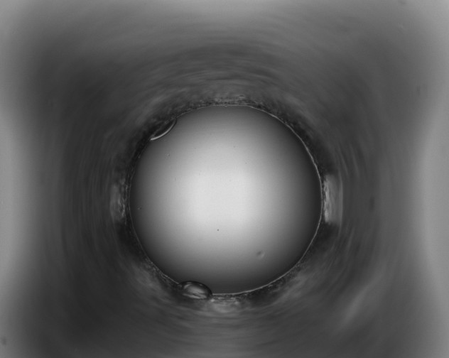 X0000086751491200704201715