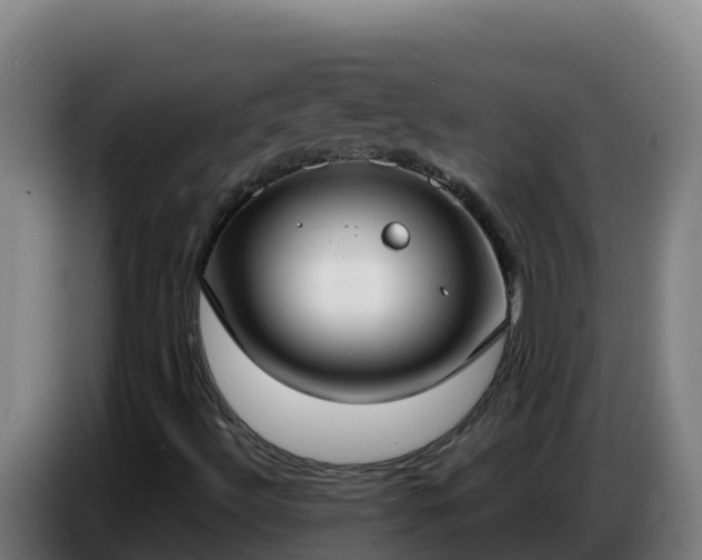 X0000086751492200704201715