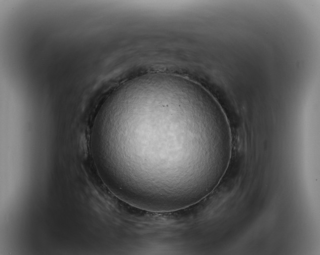 X0000086751493200704201715