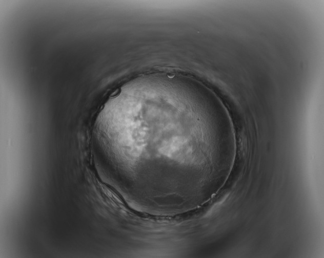 X0000086751494200704201715