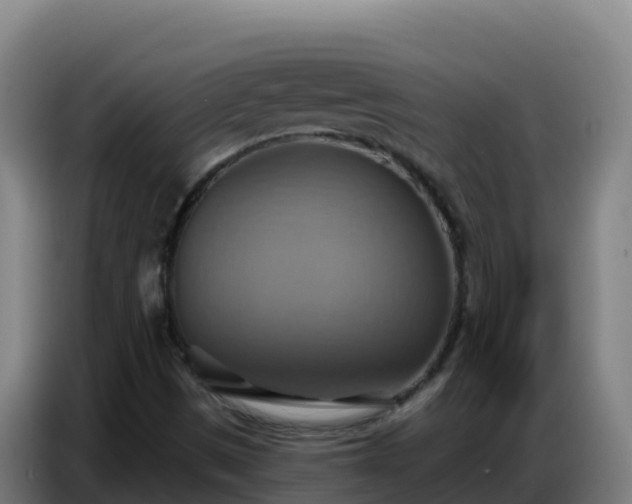 X0000086751497200704201715