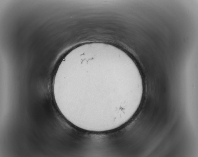 X0000086751498200704201715