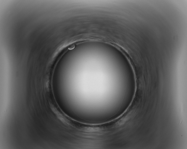 X0000086751499200704201715