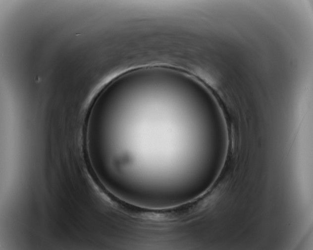 X0000086751500200704201715