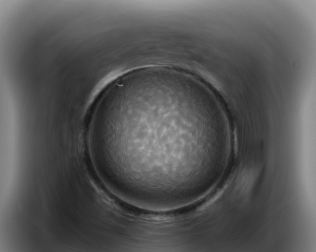 X0000086751501200704201715
