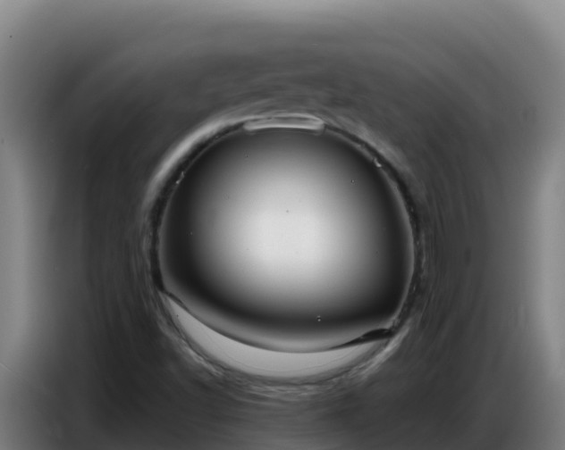 X0000086751502200704201715