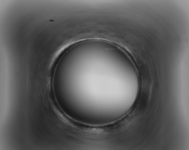 X0000086751503200704201715