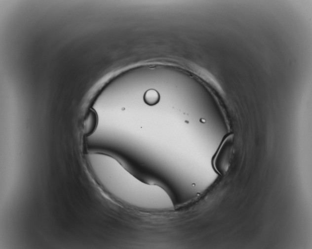 X0000086751504200704201715
