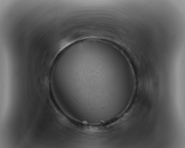 X0000086751505200704201715
