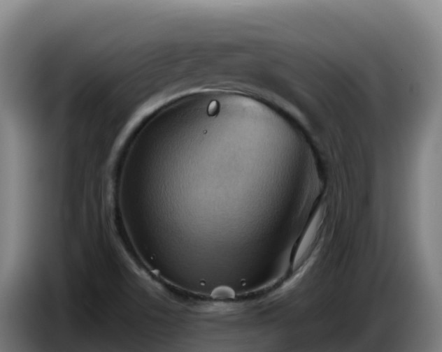 X0000086751506200704201715