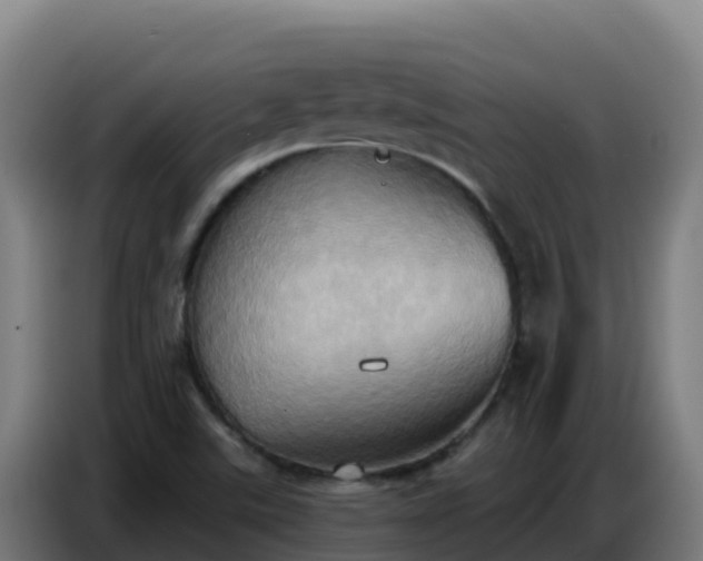 X0000086751507200704201715