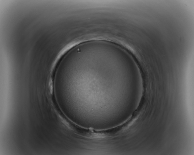 X0000086751509200704201715