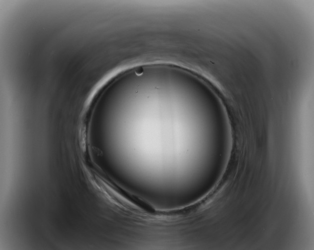 X0000086751510200704201715