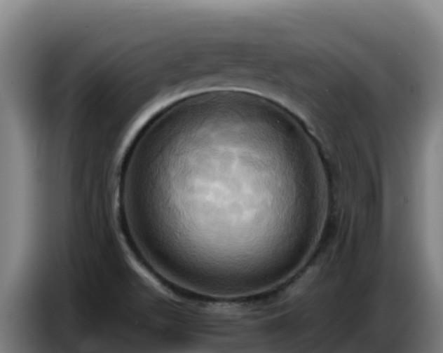 X0000086751511200704201715