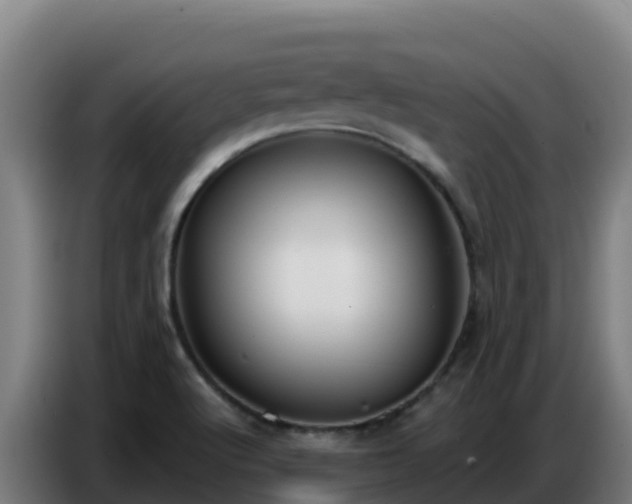 X0000086751512200704201715