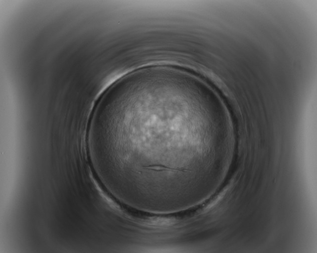 X0000086751513200704201715
