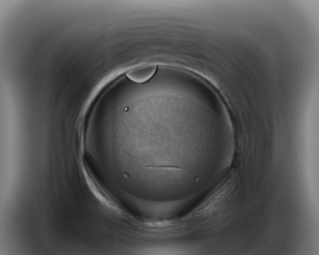 X0000086751515200704201715
