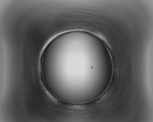 X0000086751516200704201715