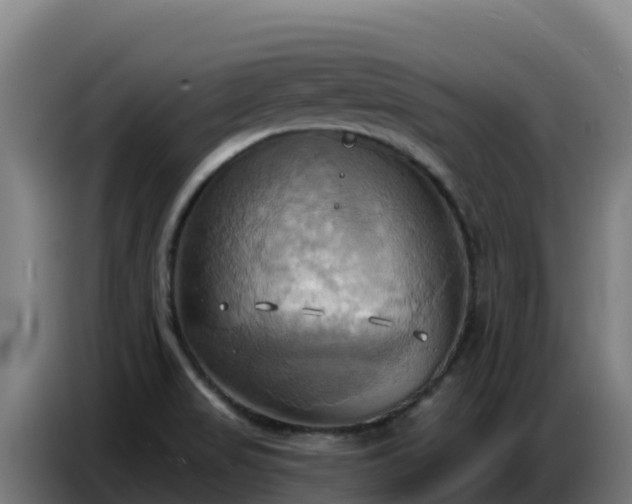 X0000086751517200704201715
