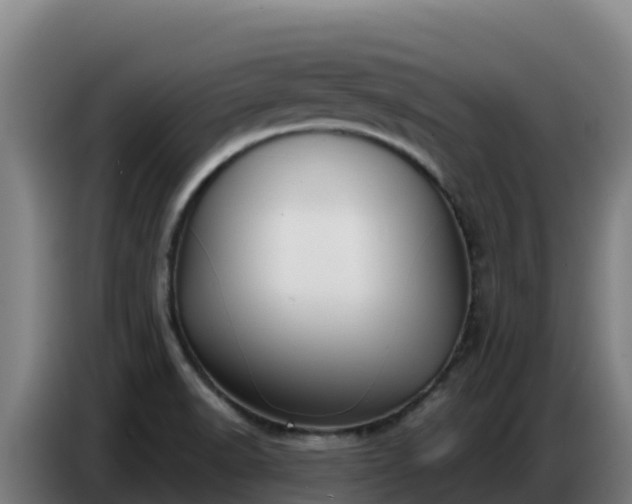 X0000086751518200704201715