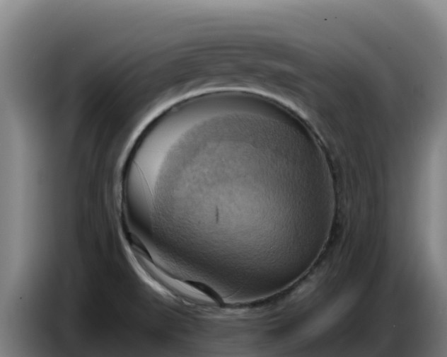 X0000086751519200704201715