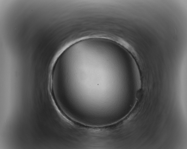 X0000086751520200704201715