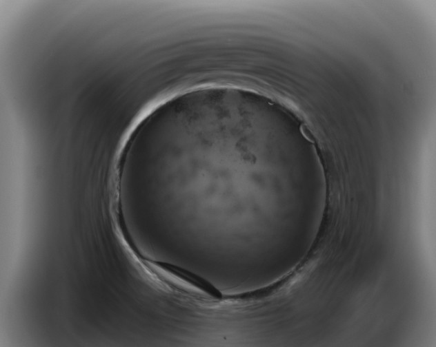 X0000086751522200704201715