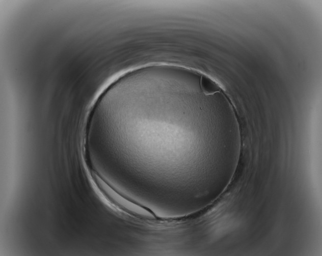 X0000086751523200704201715