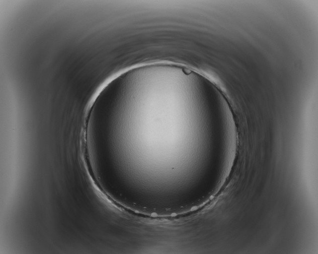 X0000086751524200704201715