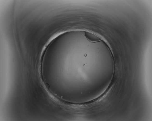 X0000086751525200704201715