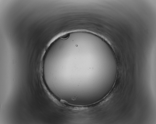 X0000086751526200704201715