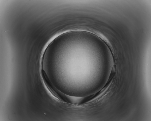 X0000086751528200704201715