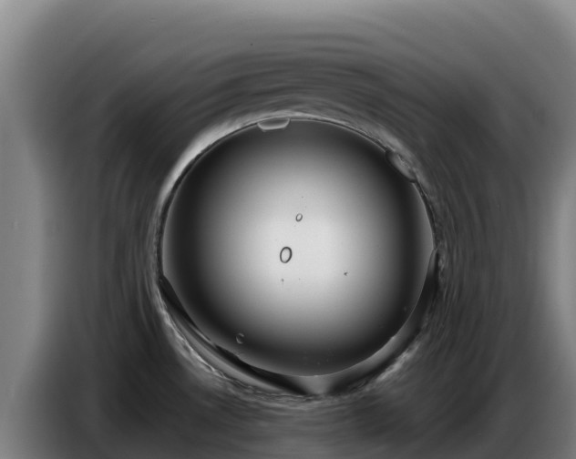 X0000086751530200704201715