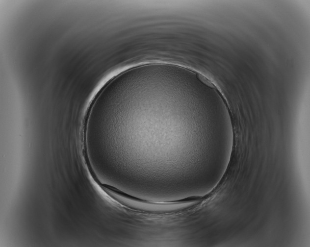 X0000086751531200704201715