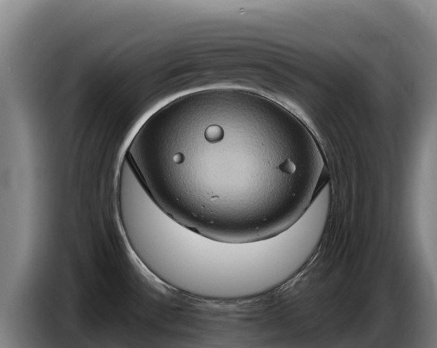 X0000086751532200704201715