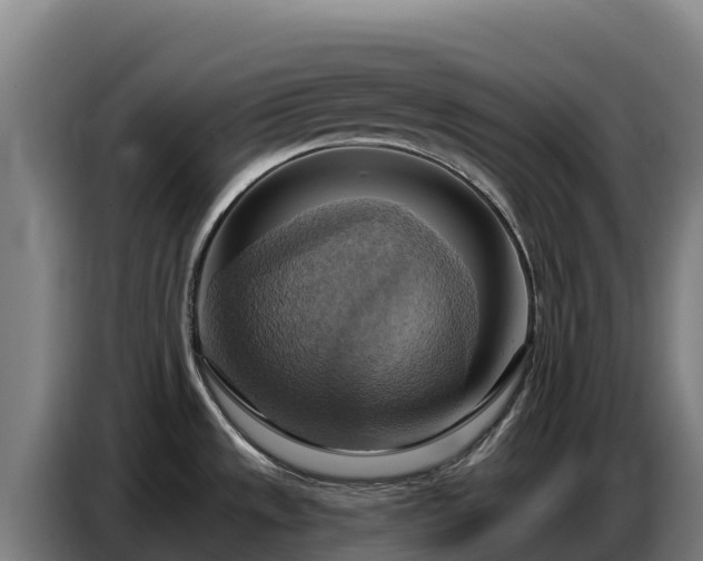 X0000086751533200704201715