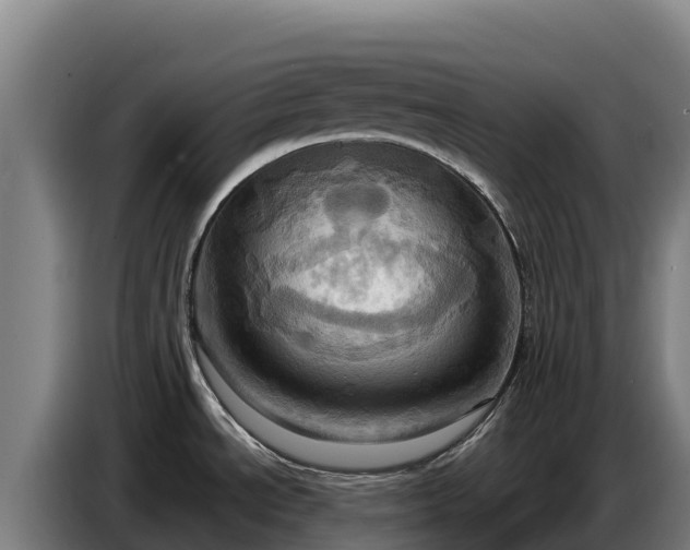 X0000086751534200704201715