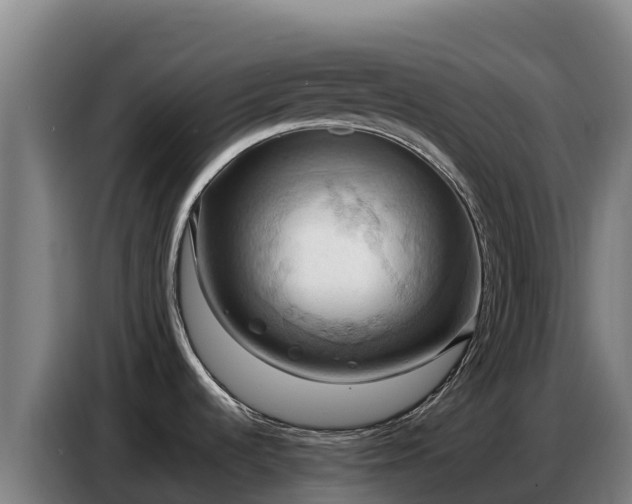 X0000086751536200704201715