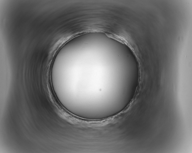 X0000086750001200704271719