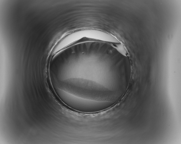 X0000086750002200704271719