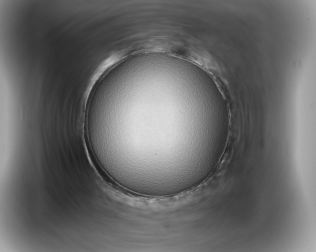 X0000086750003200704271719