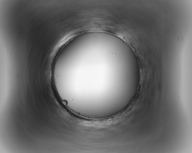 X0000086750005200704271719