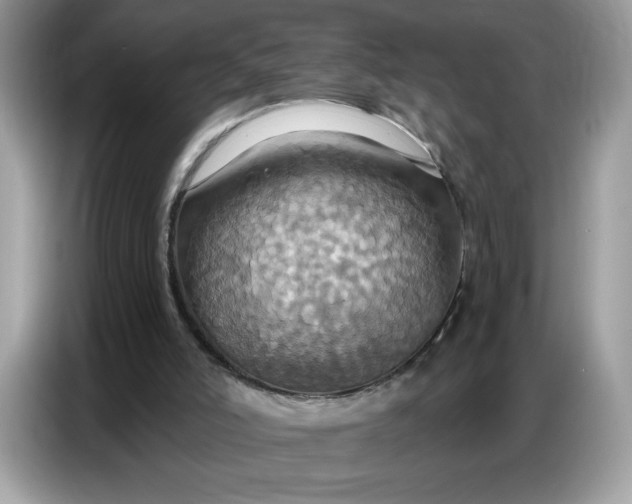 X0000086750006200704271719