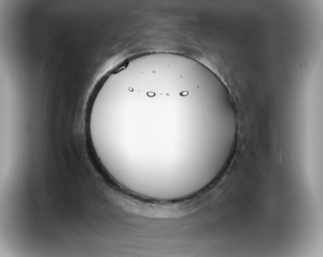 X0000086750008200704271719