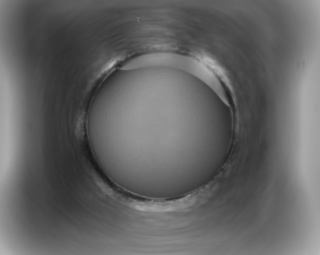 X0000086750009200704271719