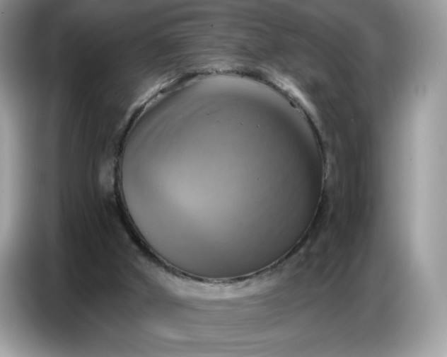 X0000086750010200704271719